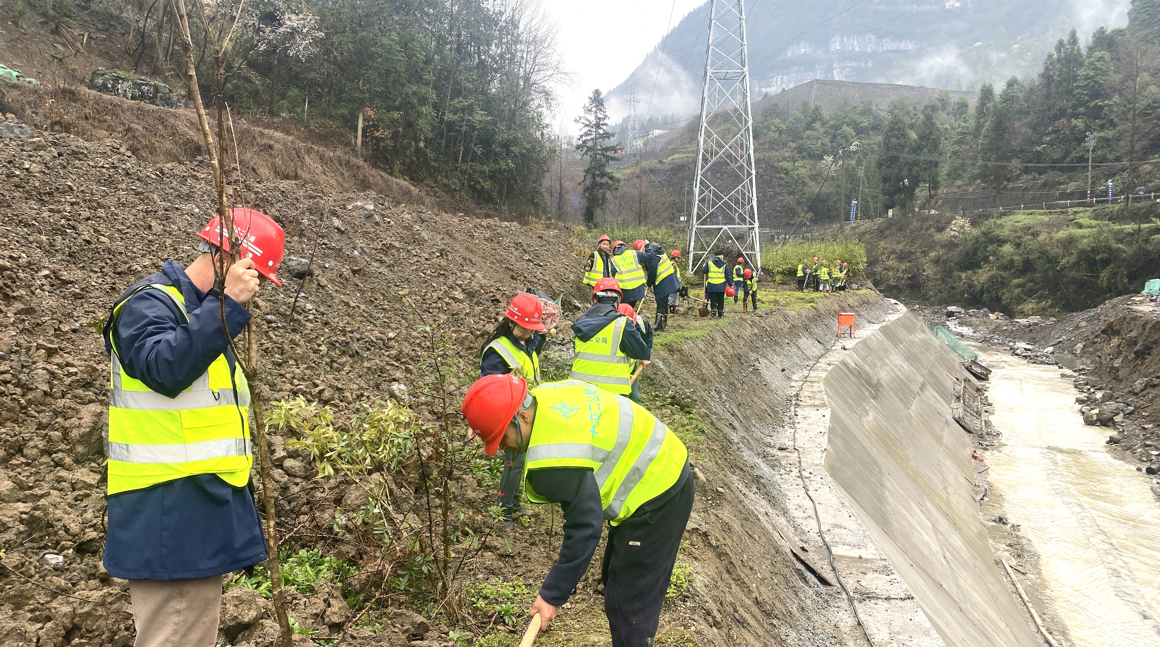 植樹_副本.jpg 植樹_副本.jpg