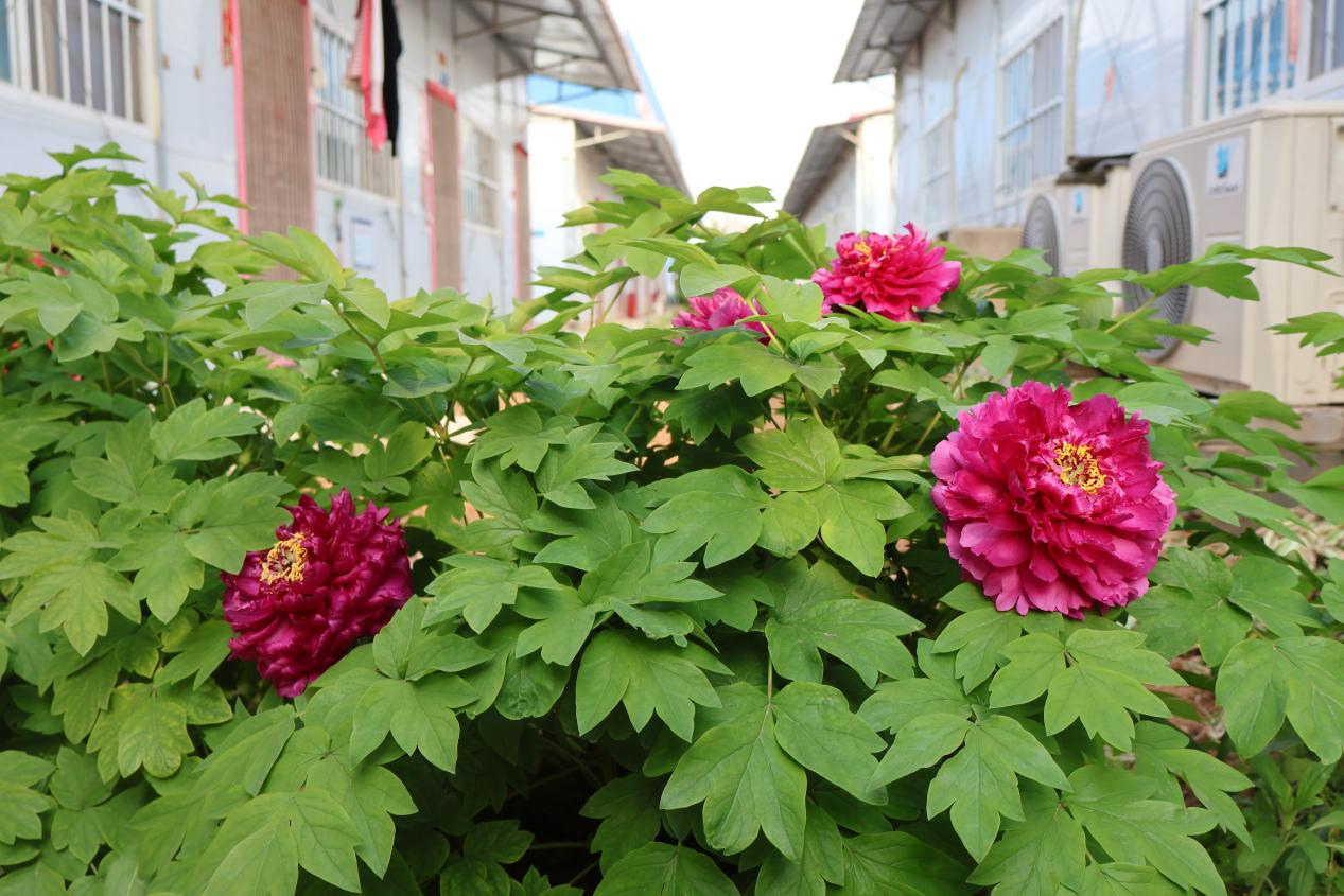 微信圖片_20240430102529.png 微信圖片_20240430102529.png