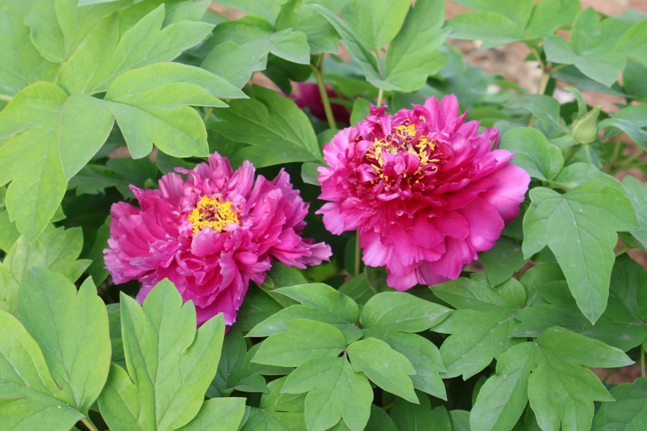 微信圖片_20240430102538.png 微信圖片_20240430102538.png